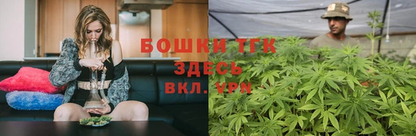 индика Покров
