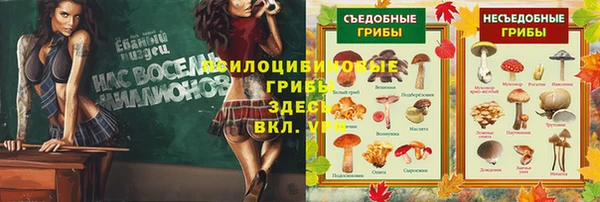 2c-b Алексин
