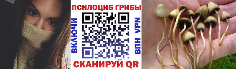 Галлюциногенные грибы мицелий  Артёмовск 