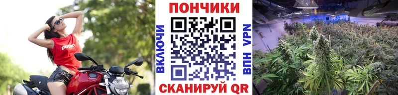 МАРИХУАНА марихуана  Артёмовск 